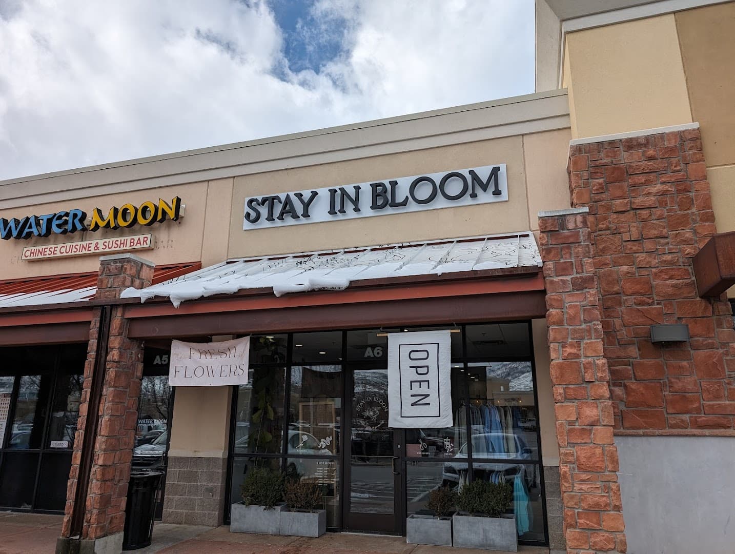 Stay In Bloom - Image 1