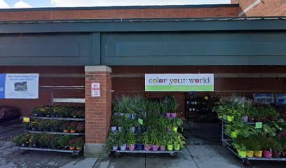 Central Market Florist - Image 1