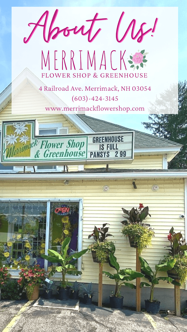 Merrimack Flower Shop & Greenhouse - Image 1