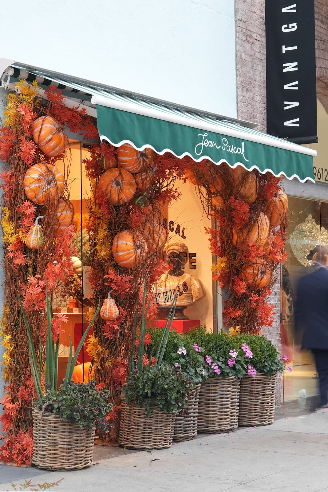 Jean Pascal - Image 1