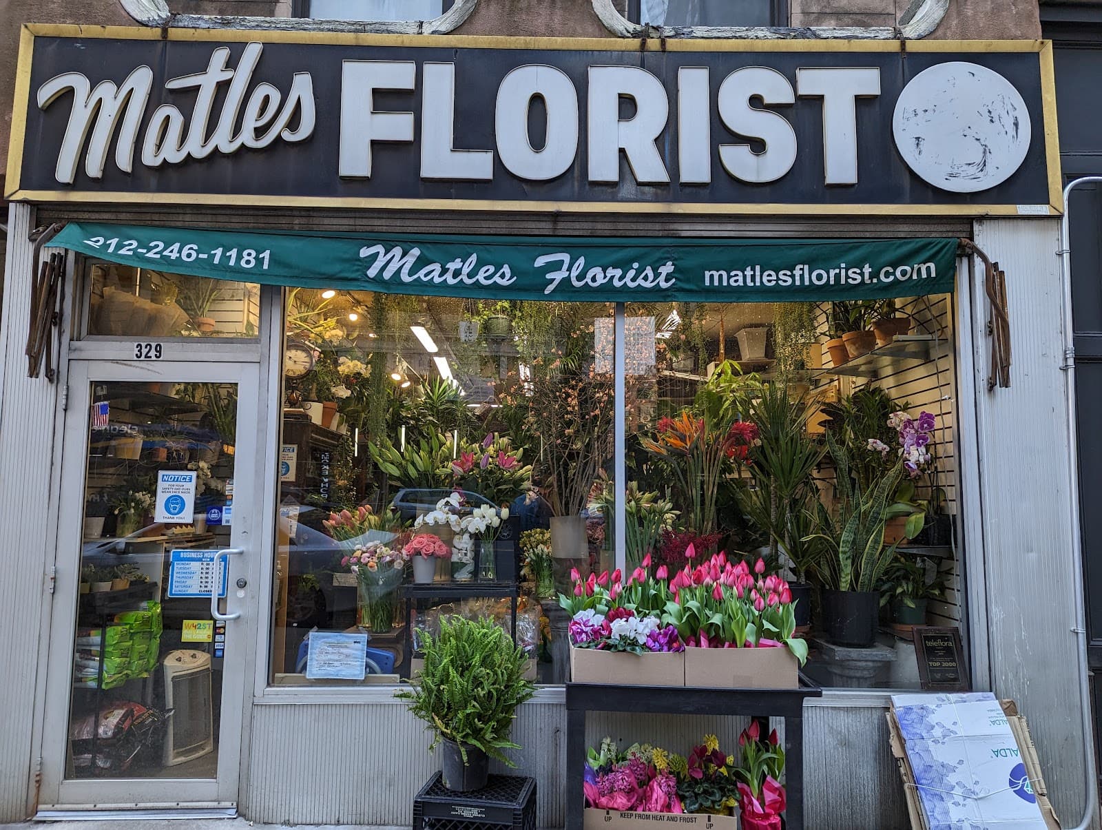 Matles Florist - Image 1