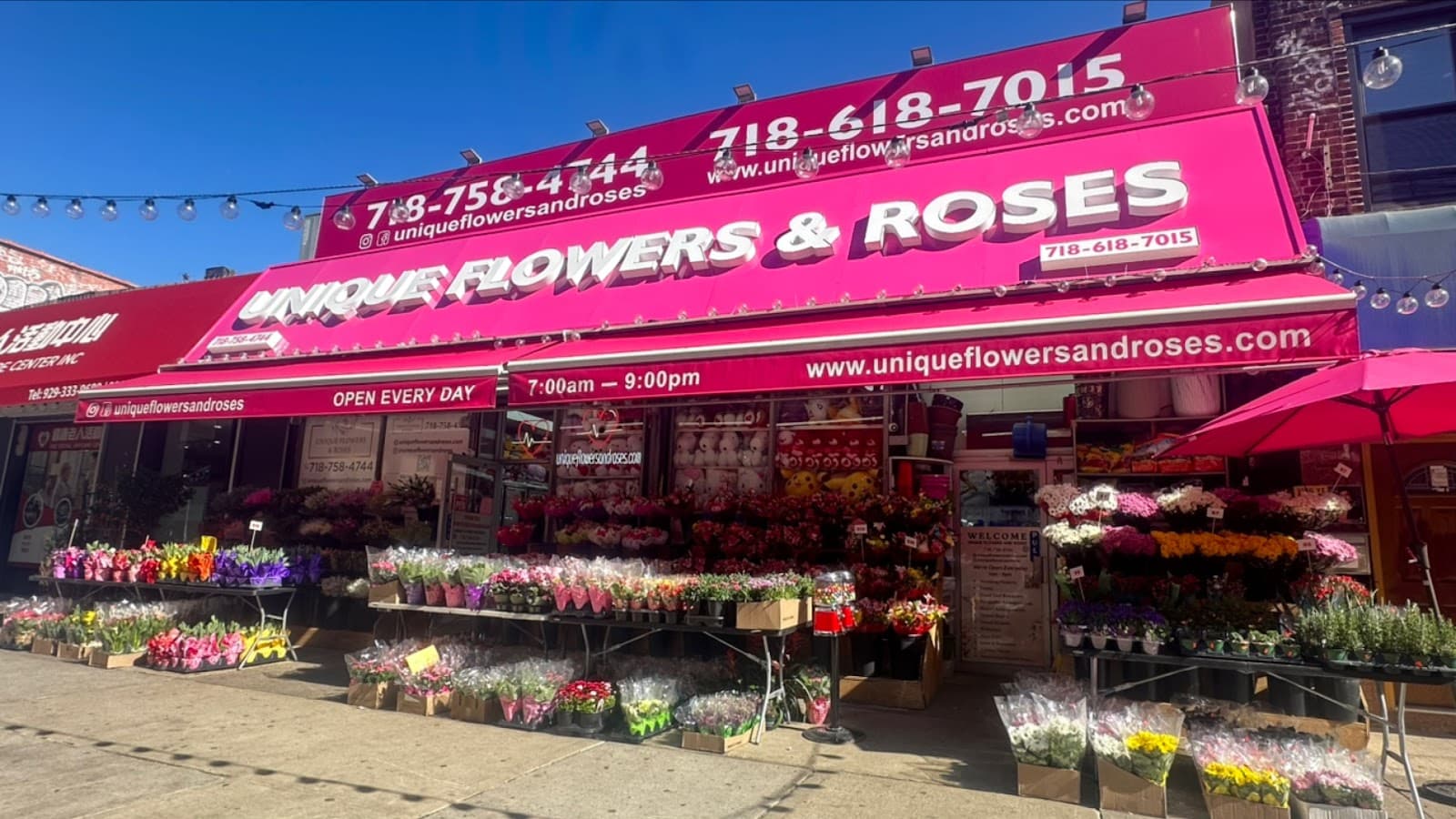 Unique Flowers & Roses - Image 1