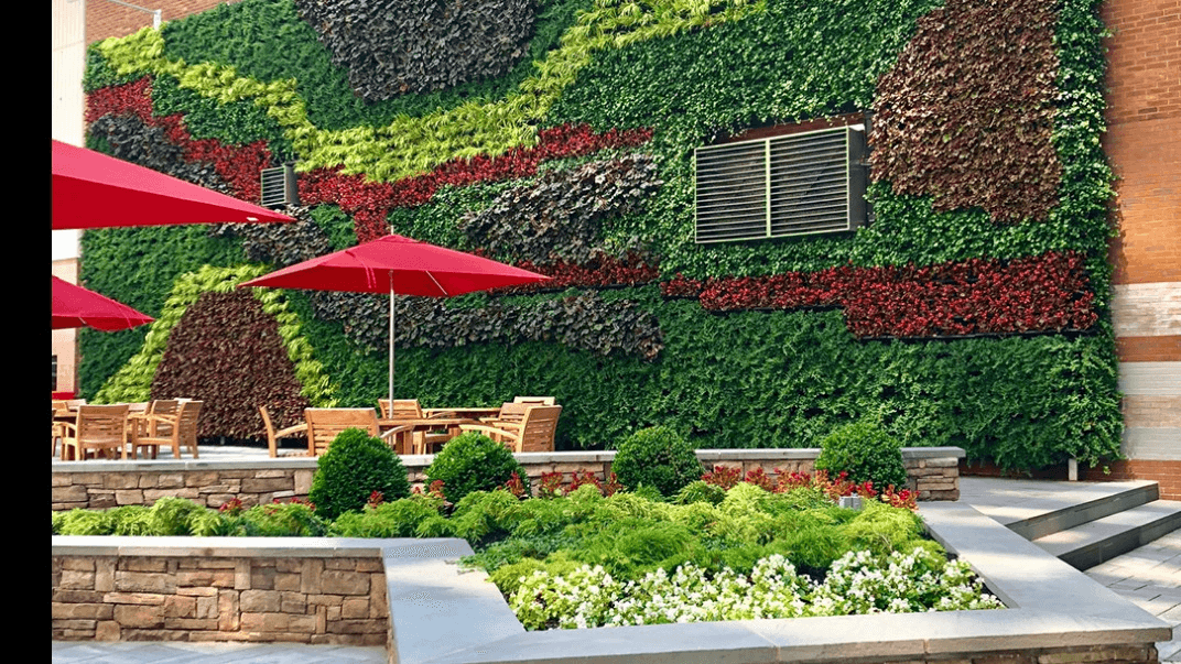 Raimondi Horticultural Group - Image 1