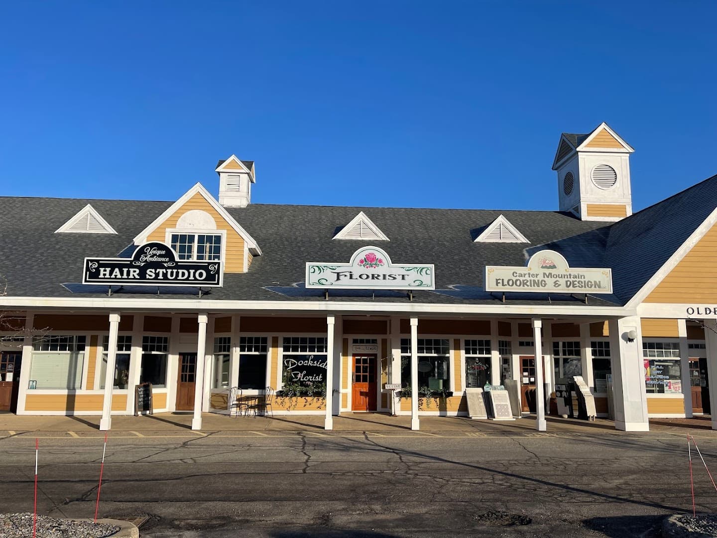 wild flower - Image 1