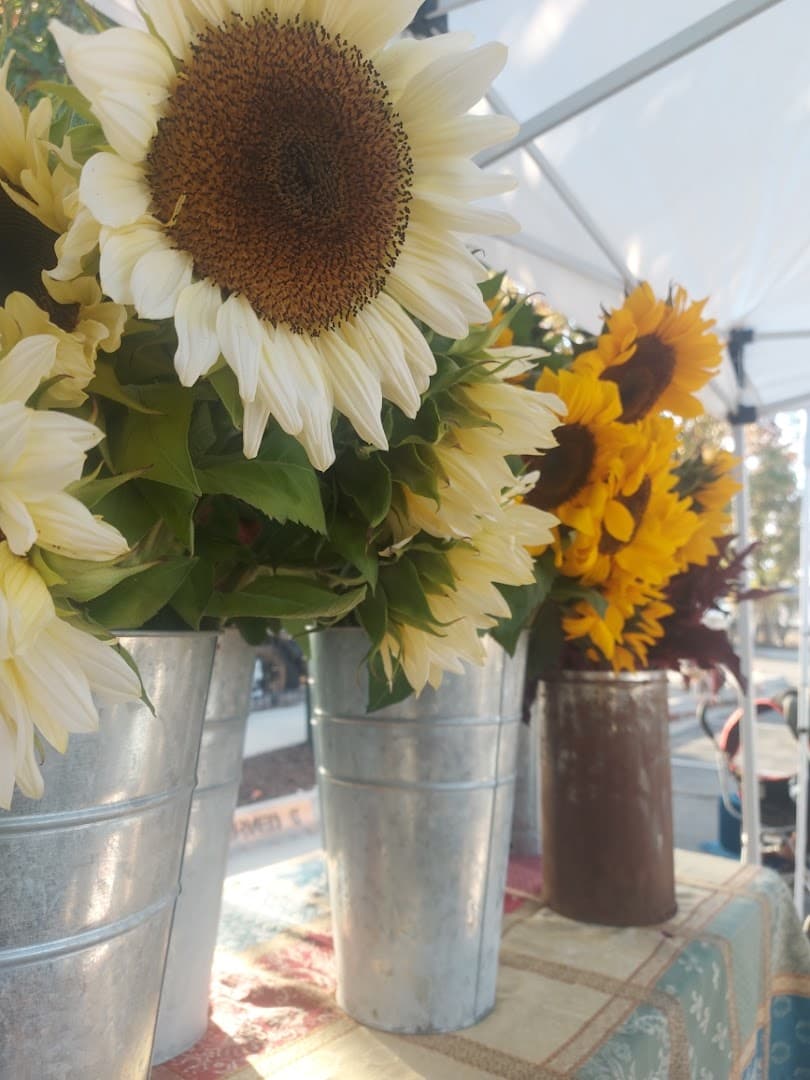 McCallister Gardens - Image 1