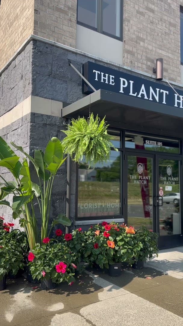 The Plant Hatch - Image 1