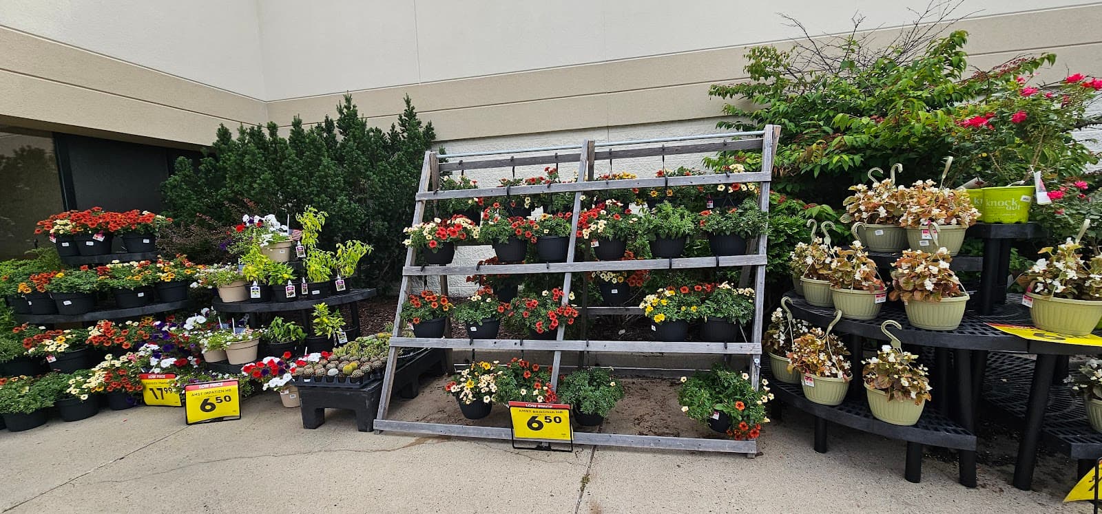 Kroger Floral - Image 1