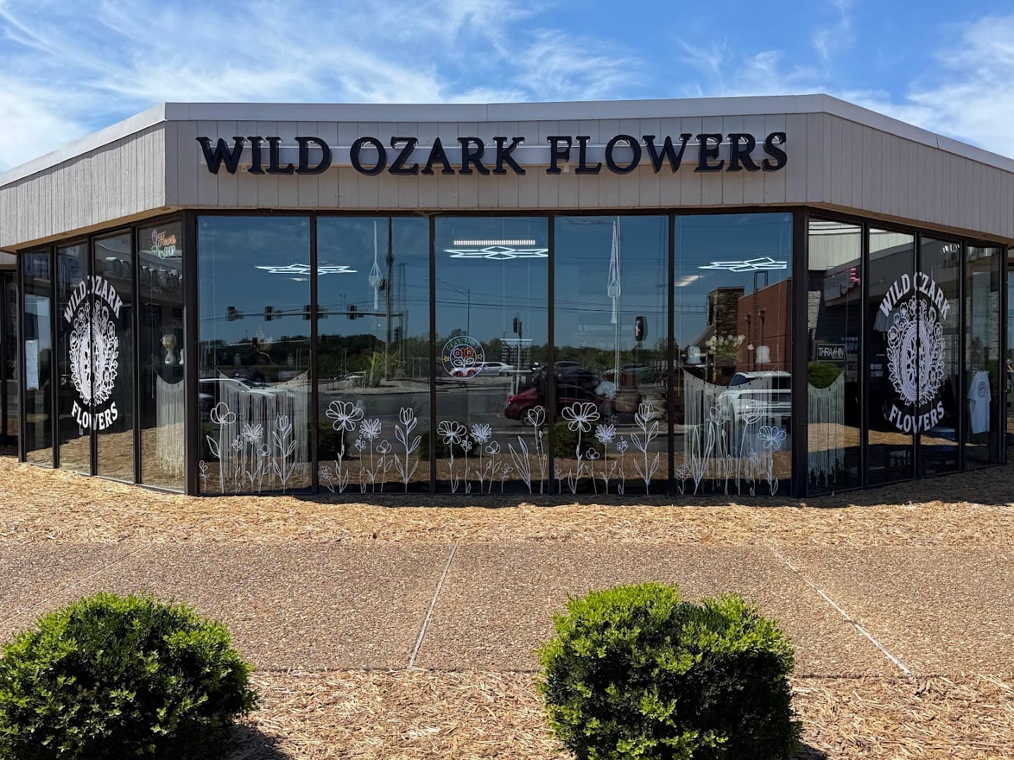 Wild Ozark Flowers - Image 1
