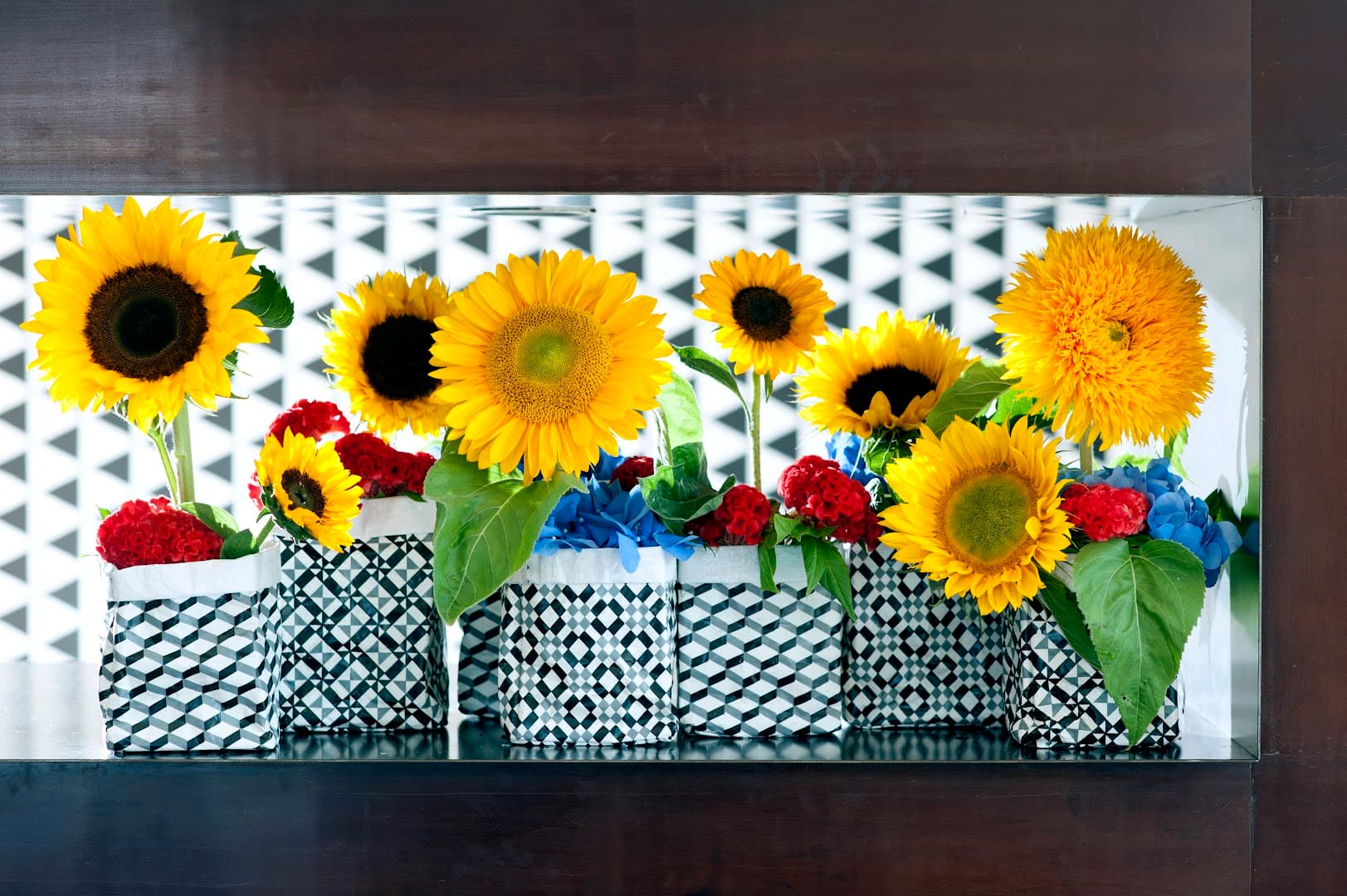 Scent & Violet - Image 1