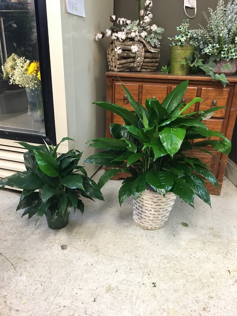 The Florist - Image 1