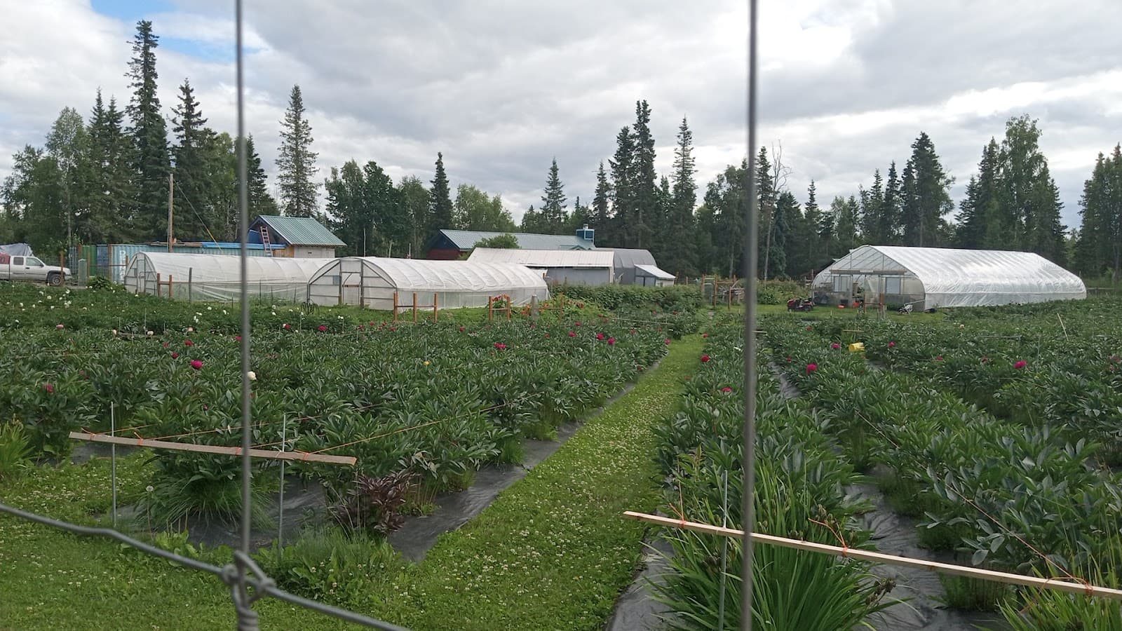 Cool Cache Farms, LLC - Image 1