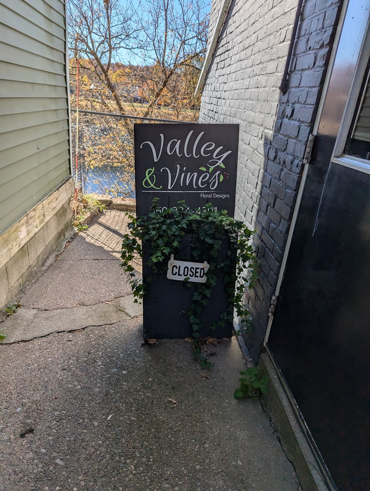 Valley and Vines - Image 1