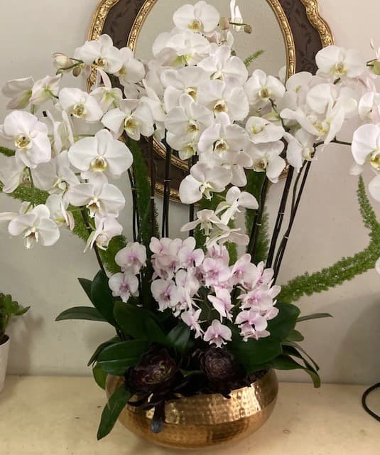 Papillon Flowers - Image 1