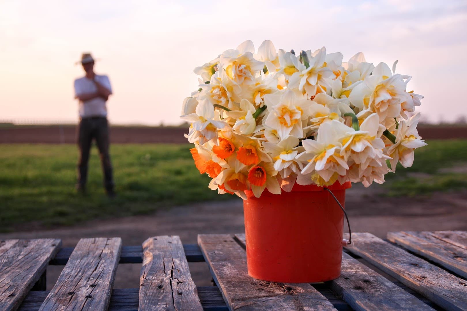 North Fork Flower Farm - Image 1
