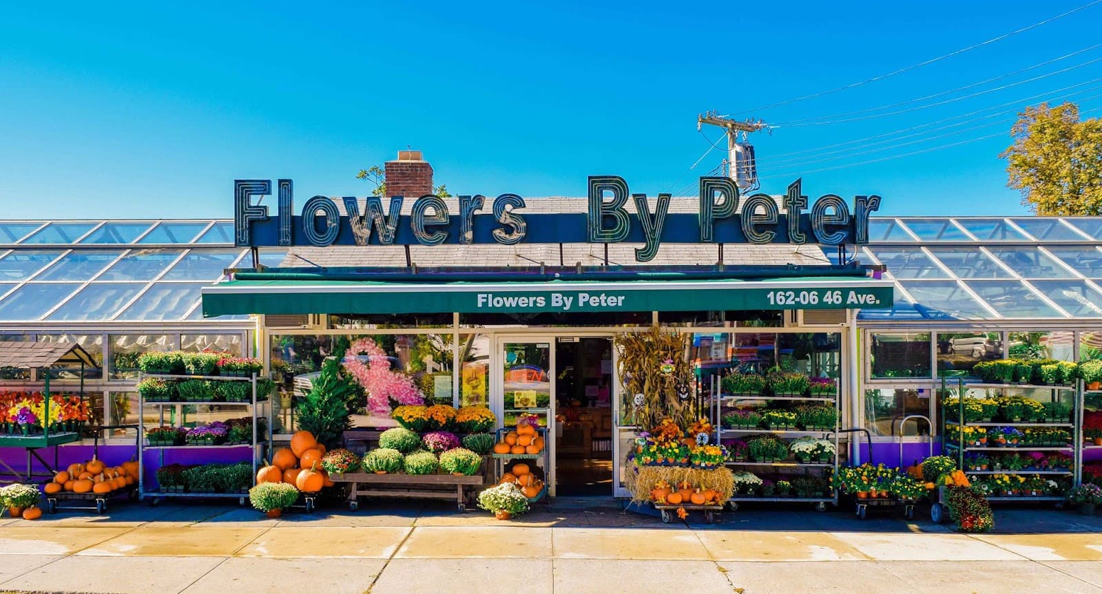 Flowers by Peter - Image 1