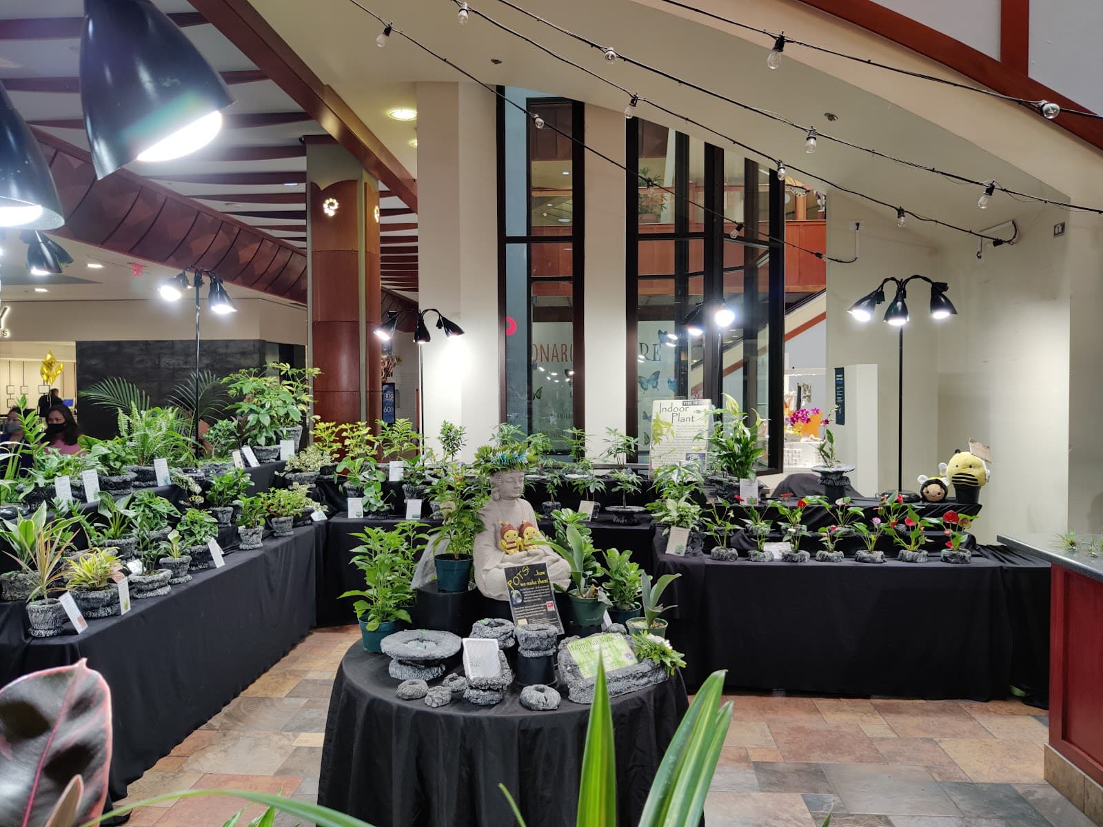 Indoor Plants at Pearl Ridge Mall - Image 1