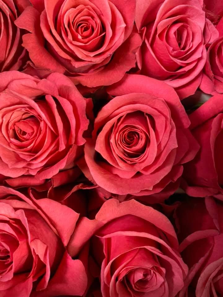 Bradley Flower Shop - Image 1