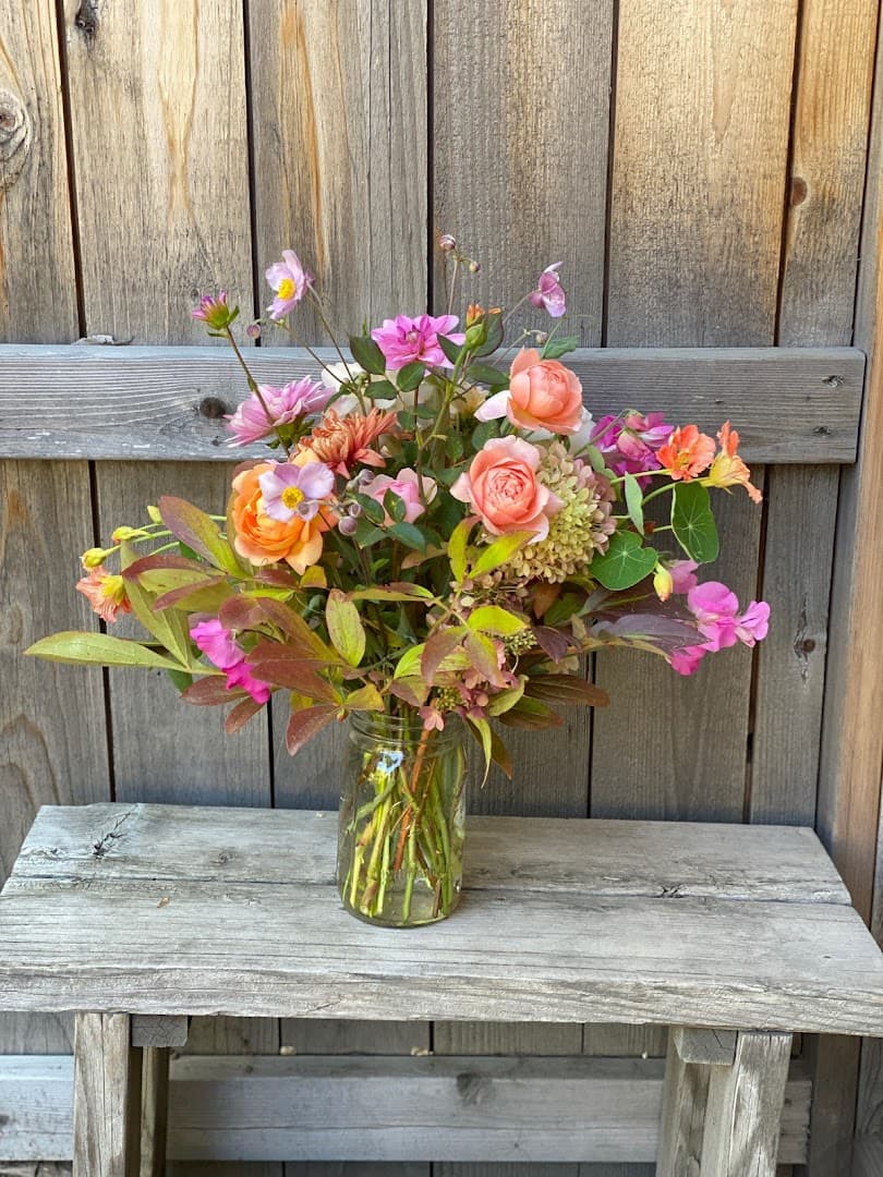 Celebrate the Season - Image 1