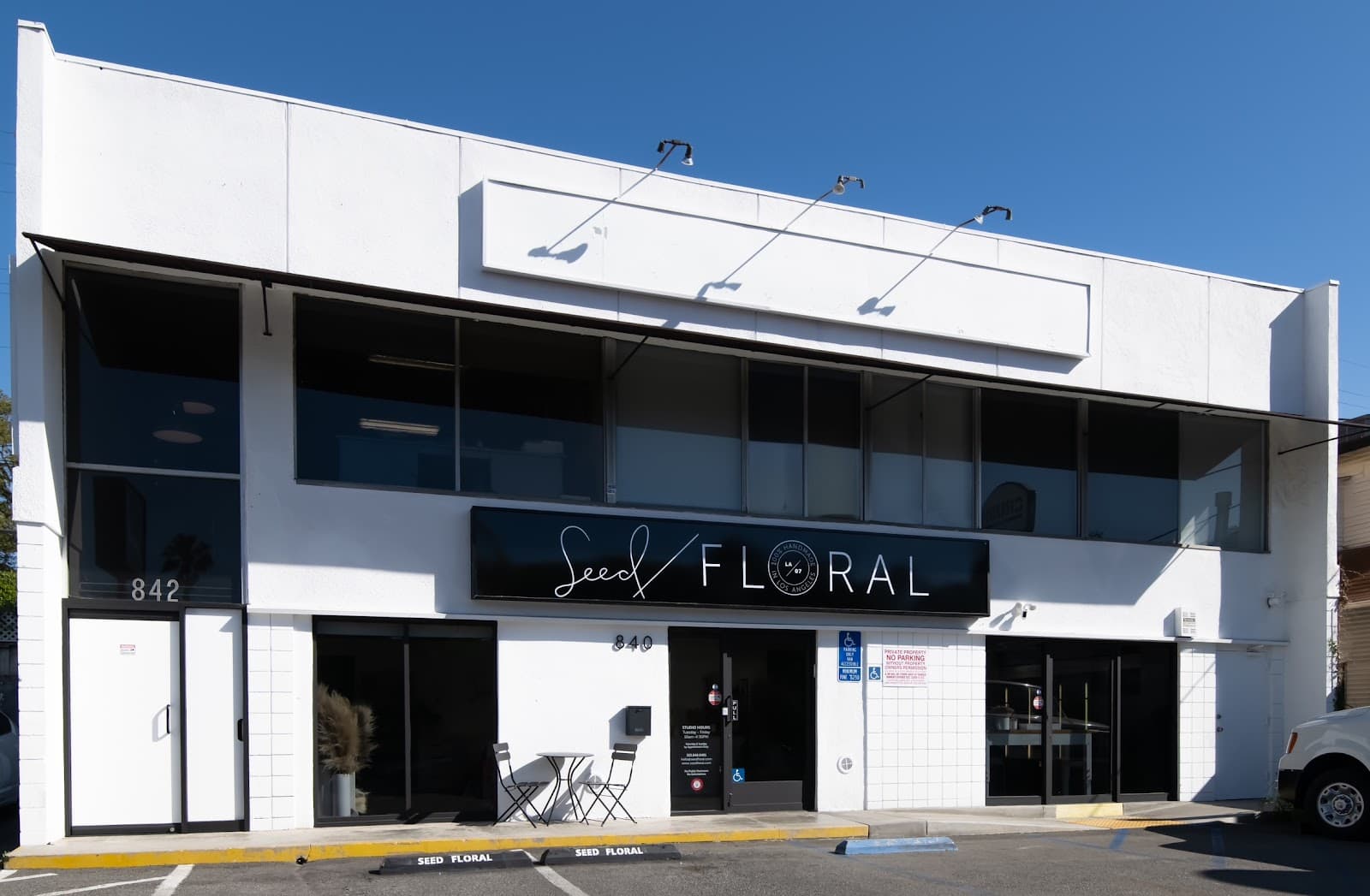 Seed Floral - Image 1