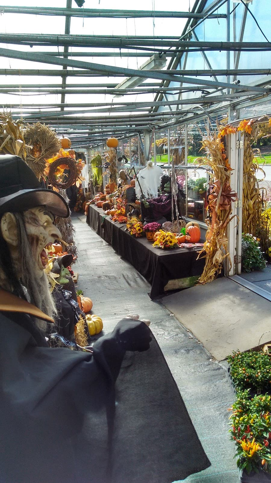 Pires Flower Basket, Inc. - Image 1