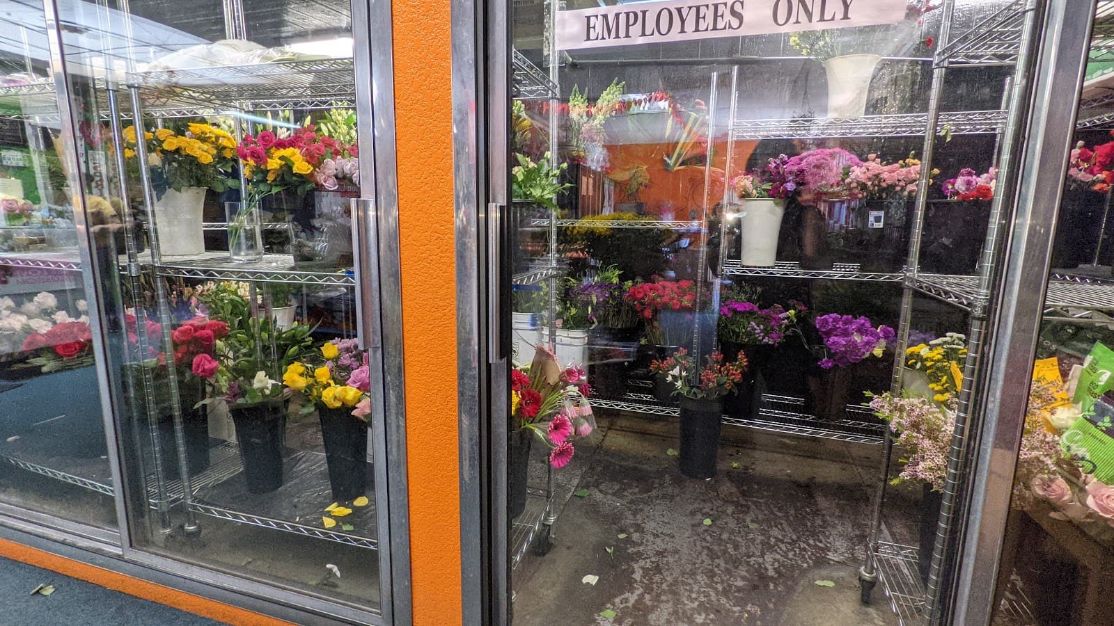 City of Flowers - Image 1