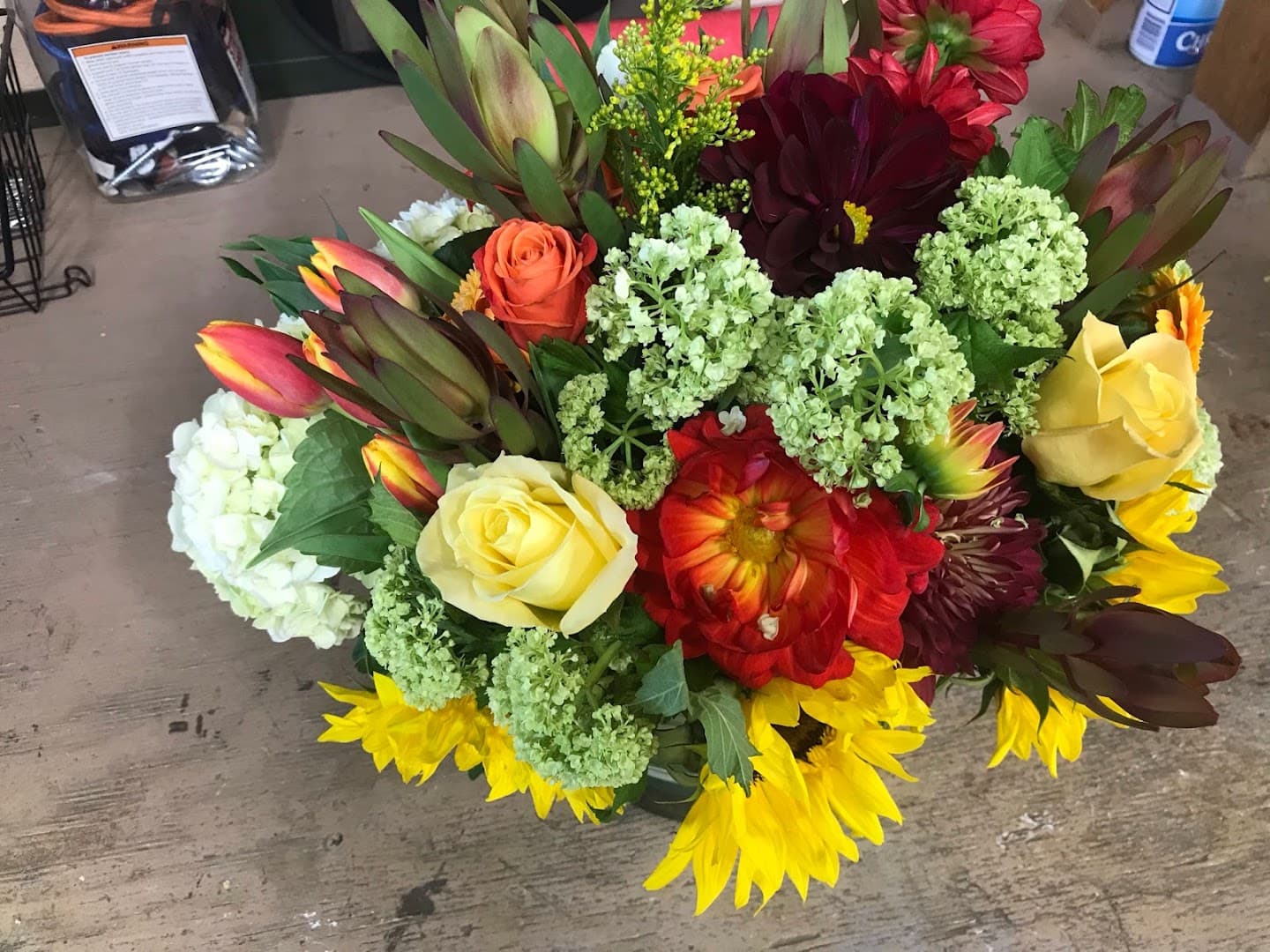 Tierra Linda Designs - Image 1