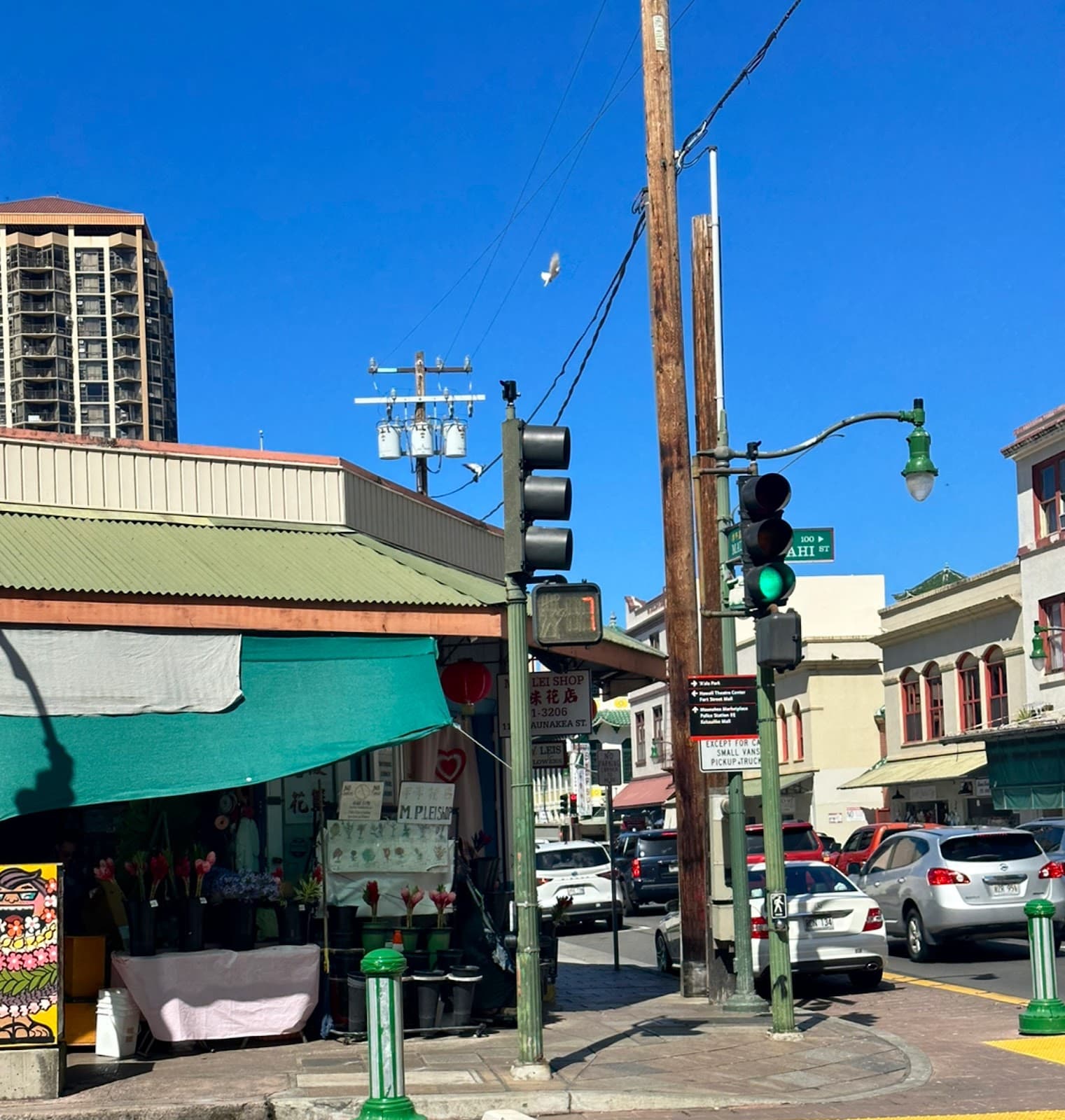 M.P. Lei Shop - Image 1