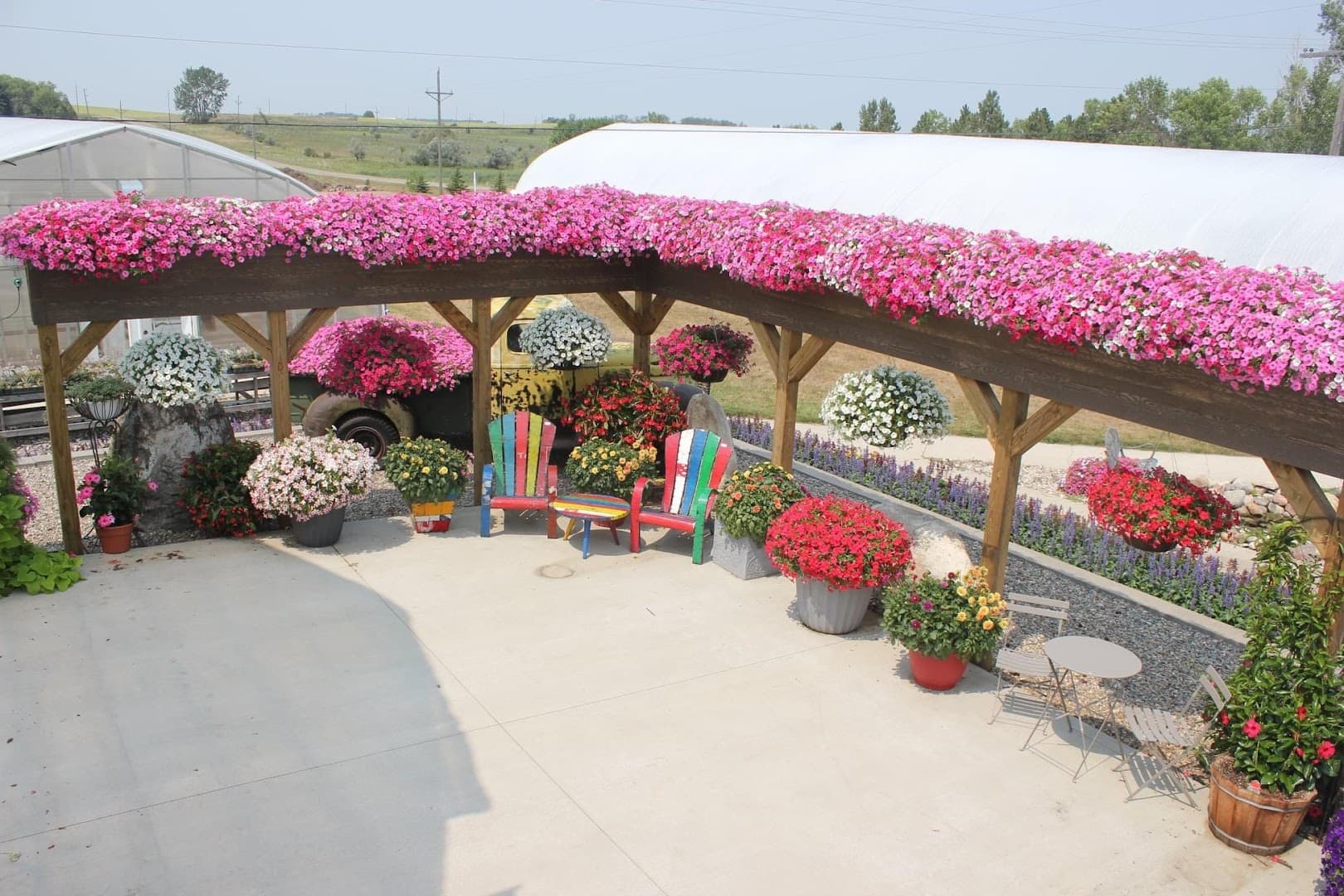 Schmaltz's Greenhouse - Image 1