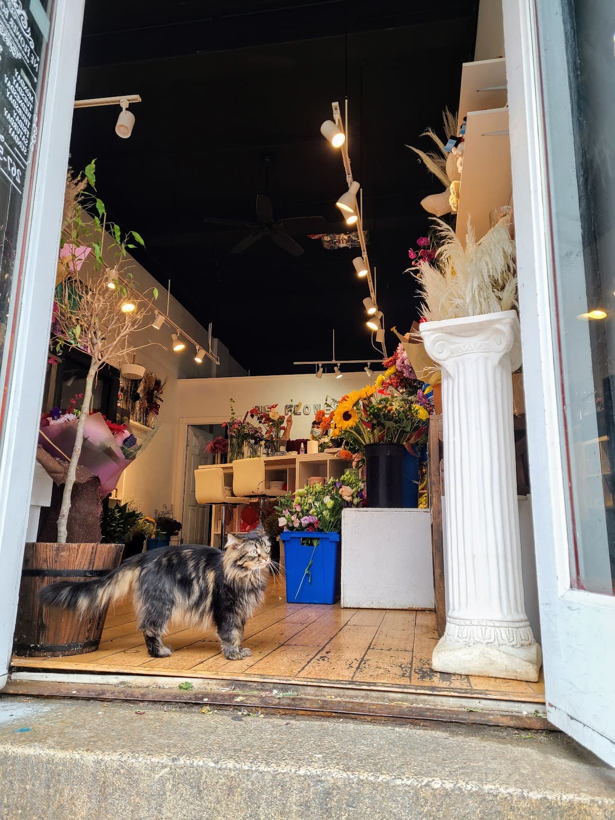 NE Flower Boutique - Image 1