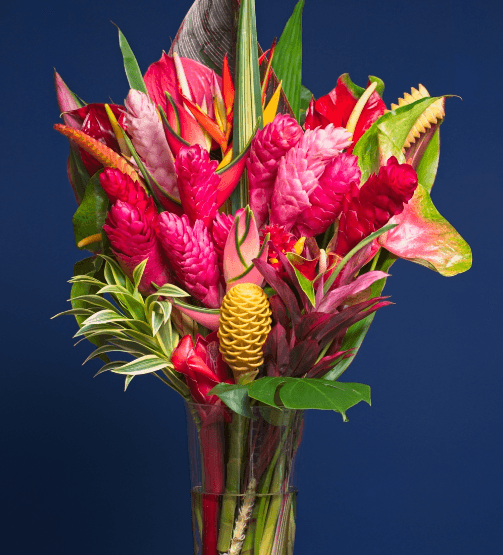 Maui's Best Flowers - Image 1