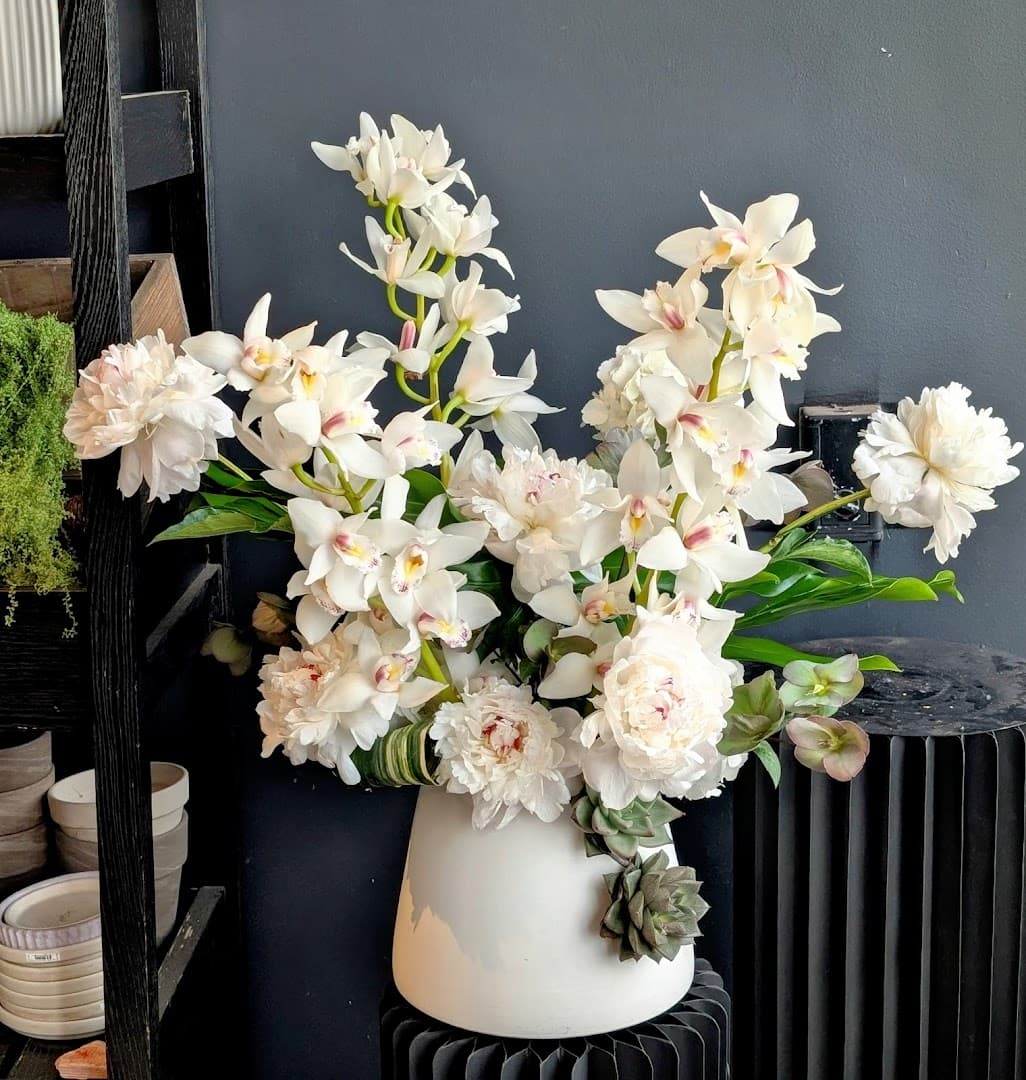Mudd Fleur - Image 1