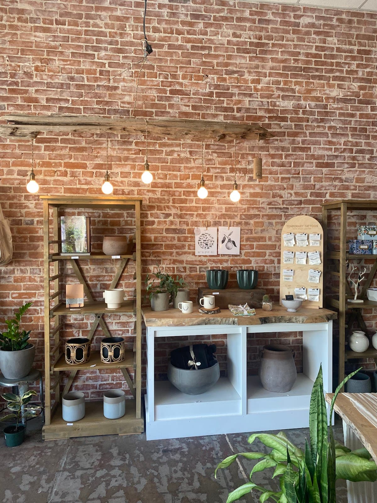 Feather + Bloom - Image 1