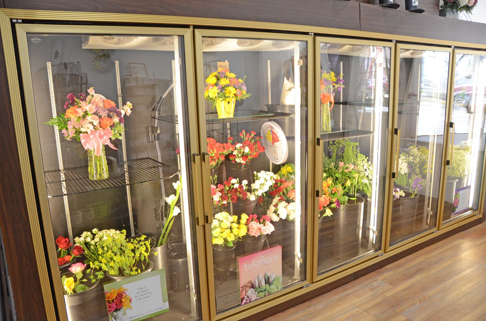 Violet & Co - Image 1