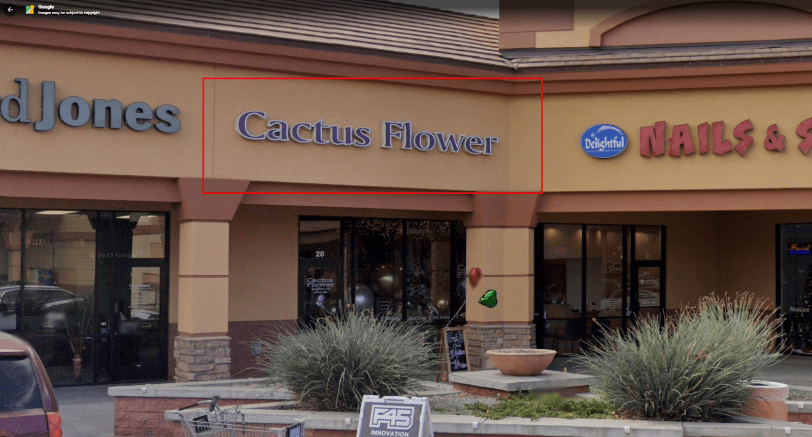 Cactus Flower Florists - Image 1