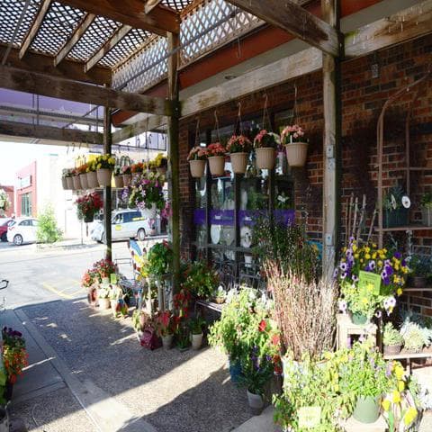 1-800Flowers|Flowerama Iowa City - Image 1