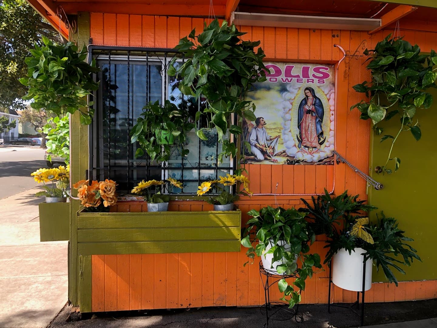 Lolis Flowers - Image 1