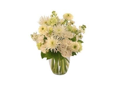 Novack Schafer Florist - Image 1