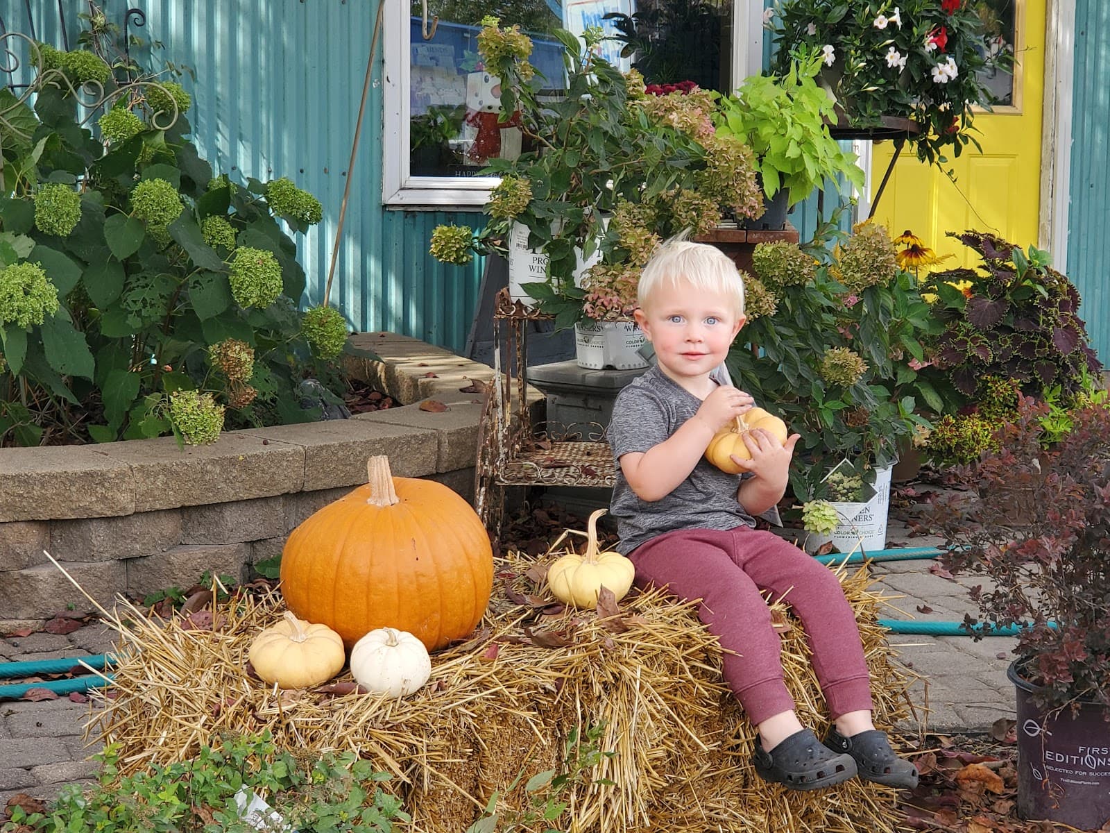 Heather Nursery & Florist - Image 1