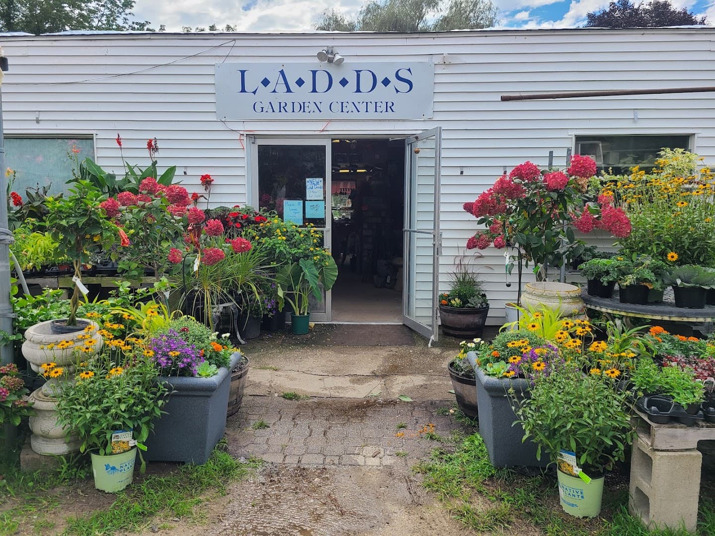 Ladd's Garden Center - Image 1