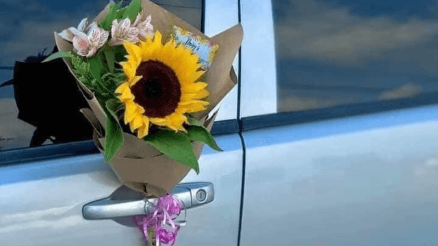 Sykes the Florist and Greenhouses - Image 1