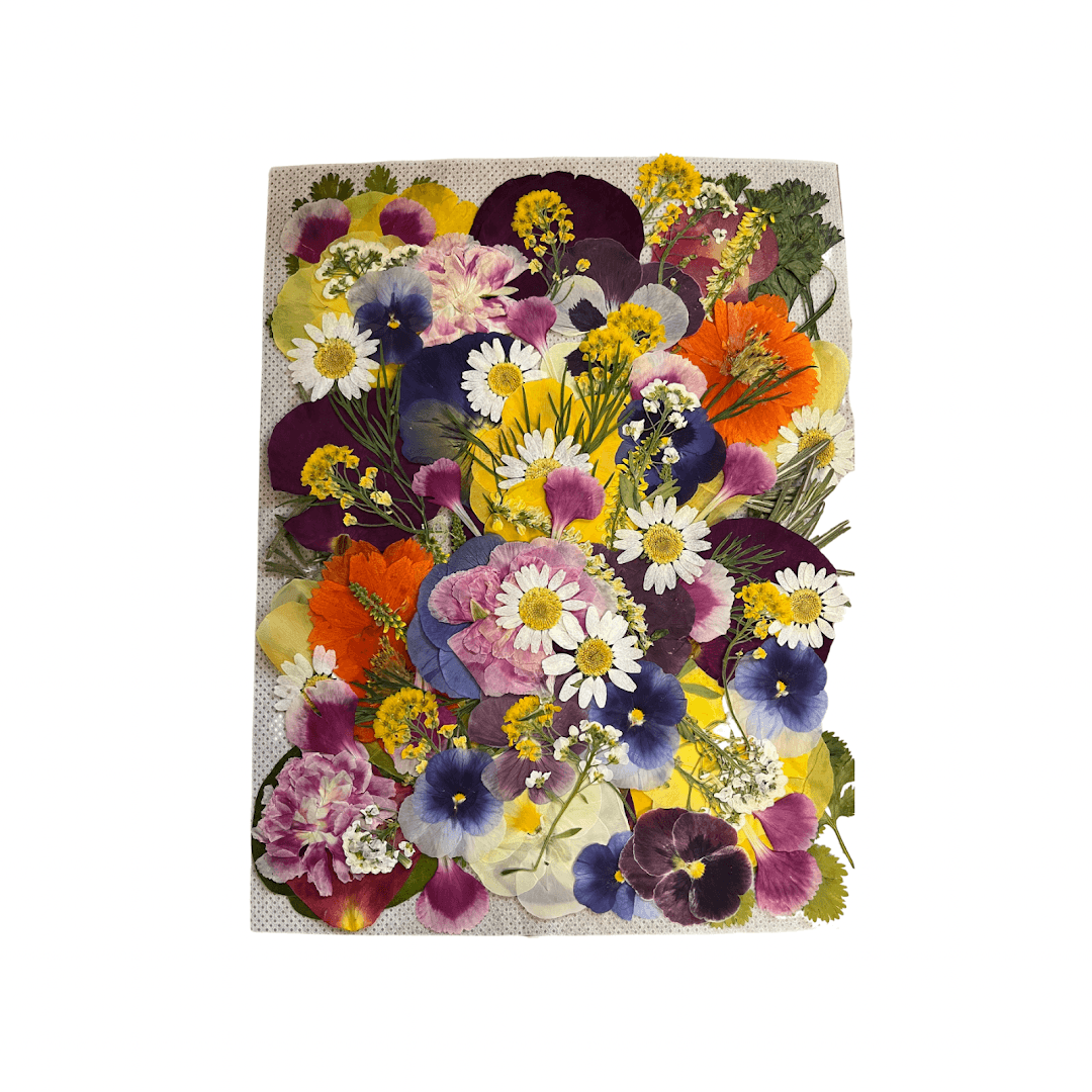 Natures Pressed - Image 1