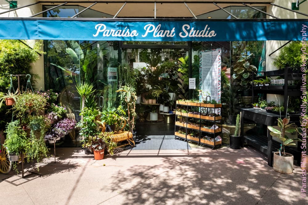 Paraíso Plant Studio - Image 1