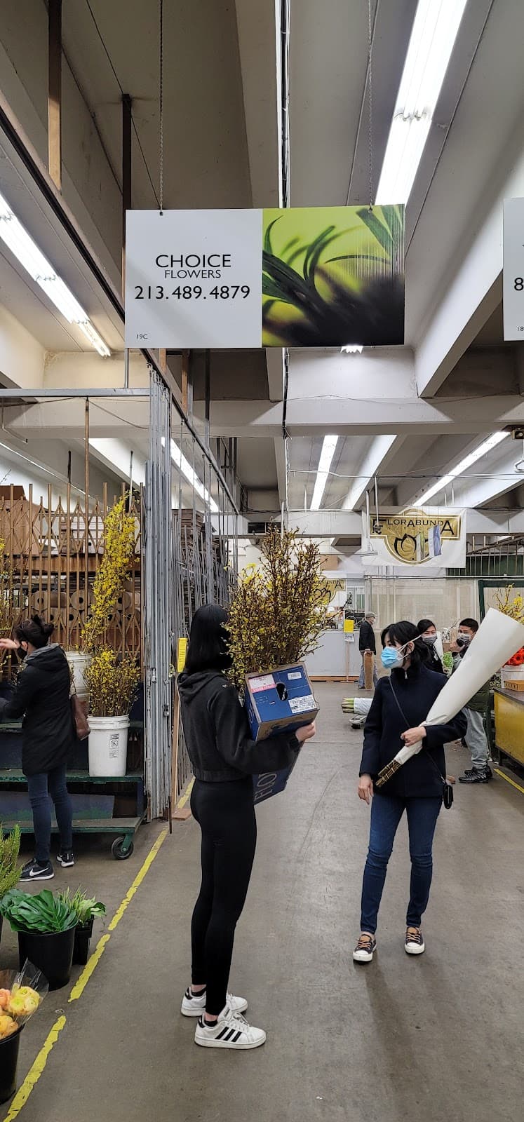 CHOICE AMERICA FLOWER WHOLESALE - Image 1