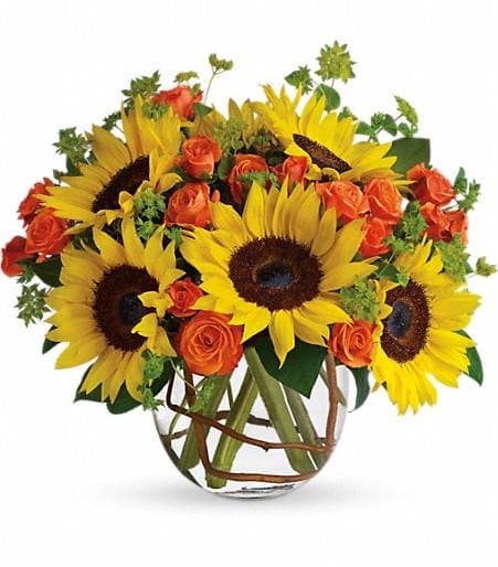 Lake Talquin Flowers - Image 1