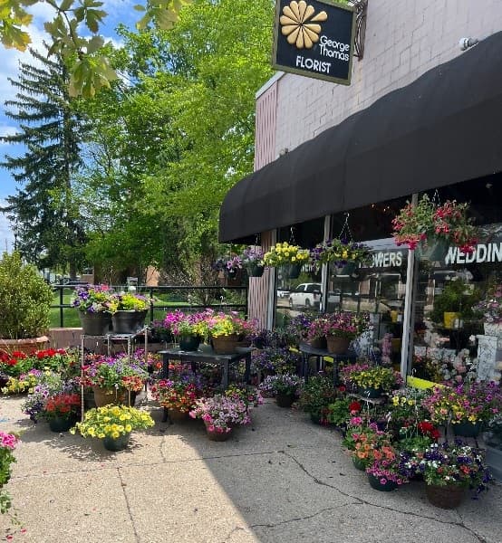 George Thomas Florist - Image 1