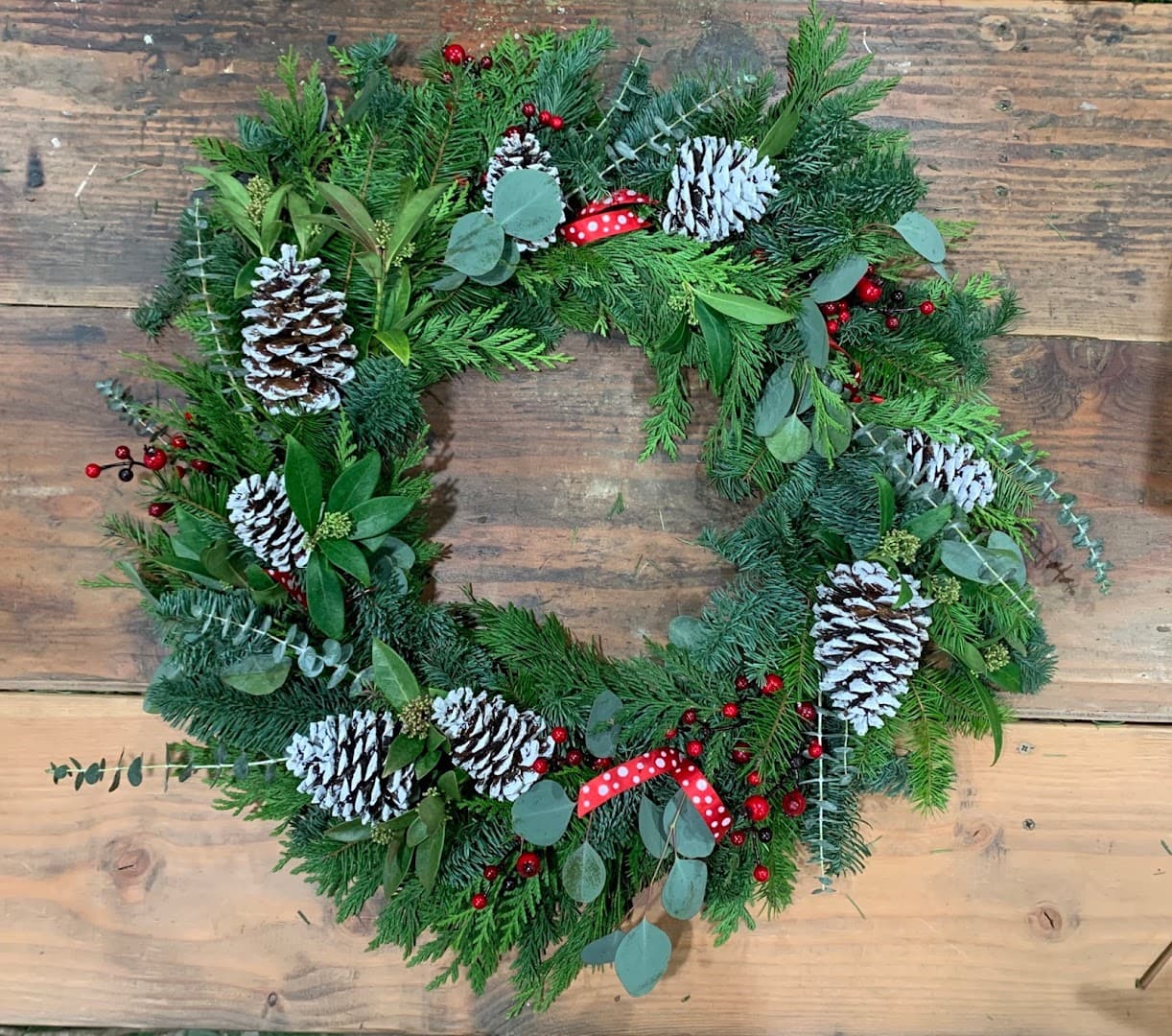 Cosmic Lilly Design - Image 1