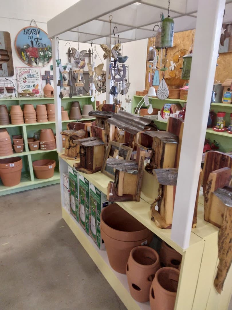 Pretty Little Flowers Nursery - Image 1