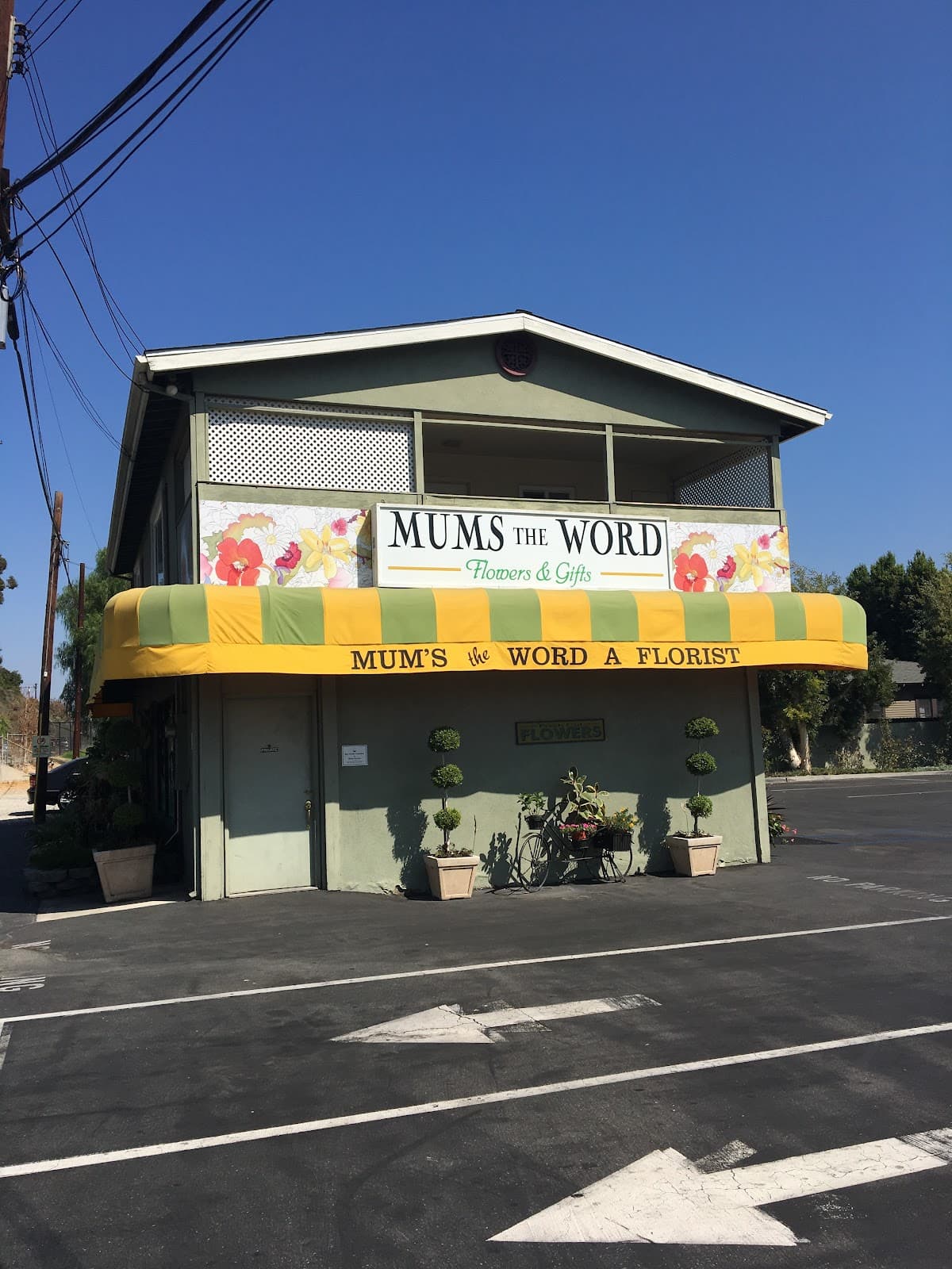 Mums the Word - A Florist - Image 1