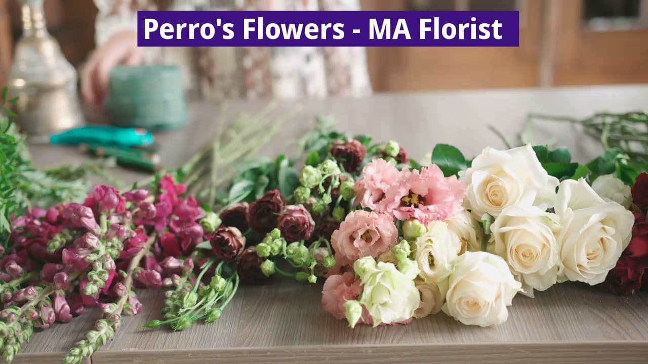 Perro's Flowers - Image 1