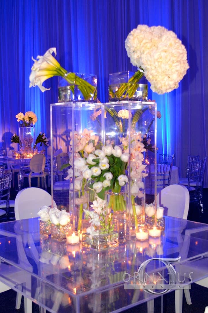 ORNATUS EVENTS PRODUCTIONS - Image 1